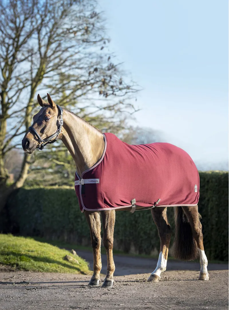 LeMieux Arika Jersey-Tek Rug in Burgundy